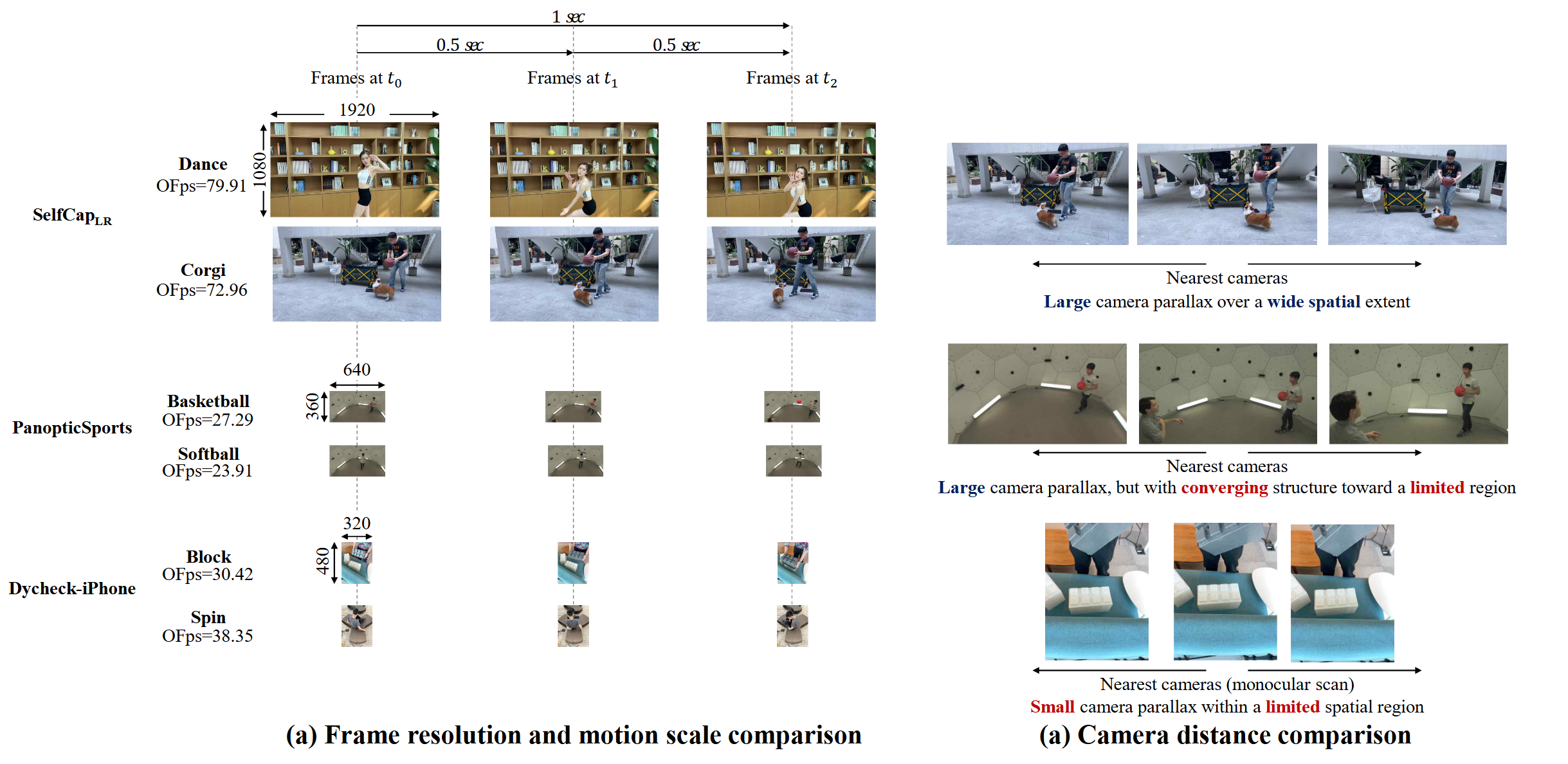 Figure: Dataset visualization