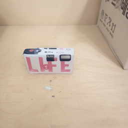 LRGI 256x256 input — Sample 4